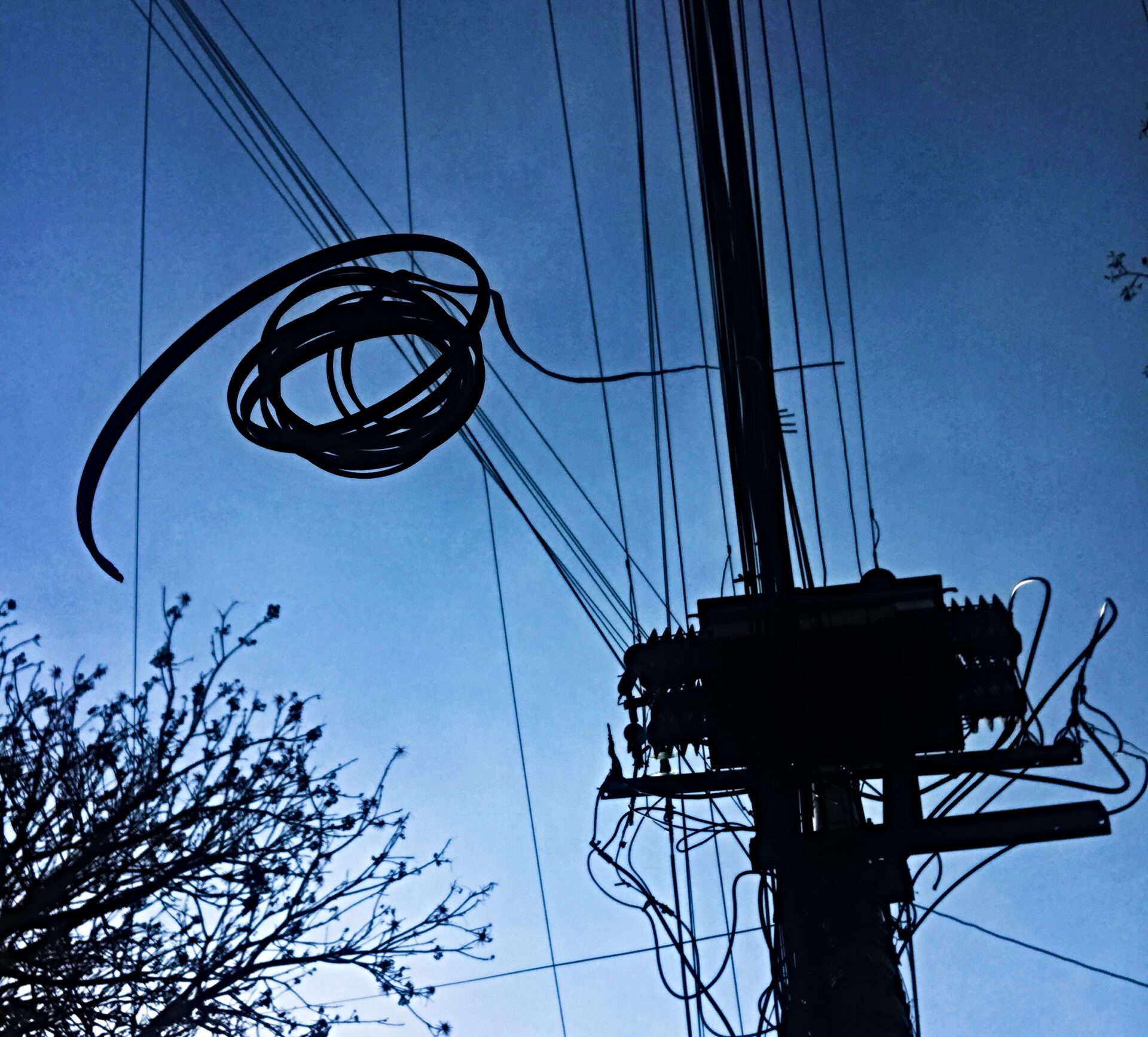 Los cables: una trampa mortal para todos y una responsabilidad de nadie