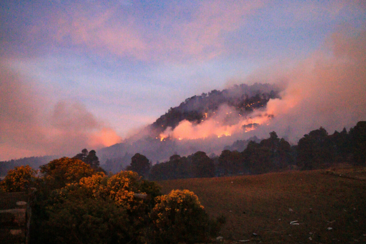 Las 250 ha dañadas en el Pico de Orizaba anuncian una intensa temporada de incendios forestales