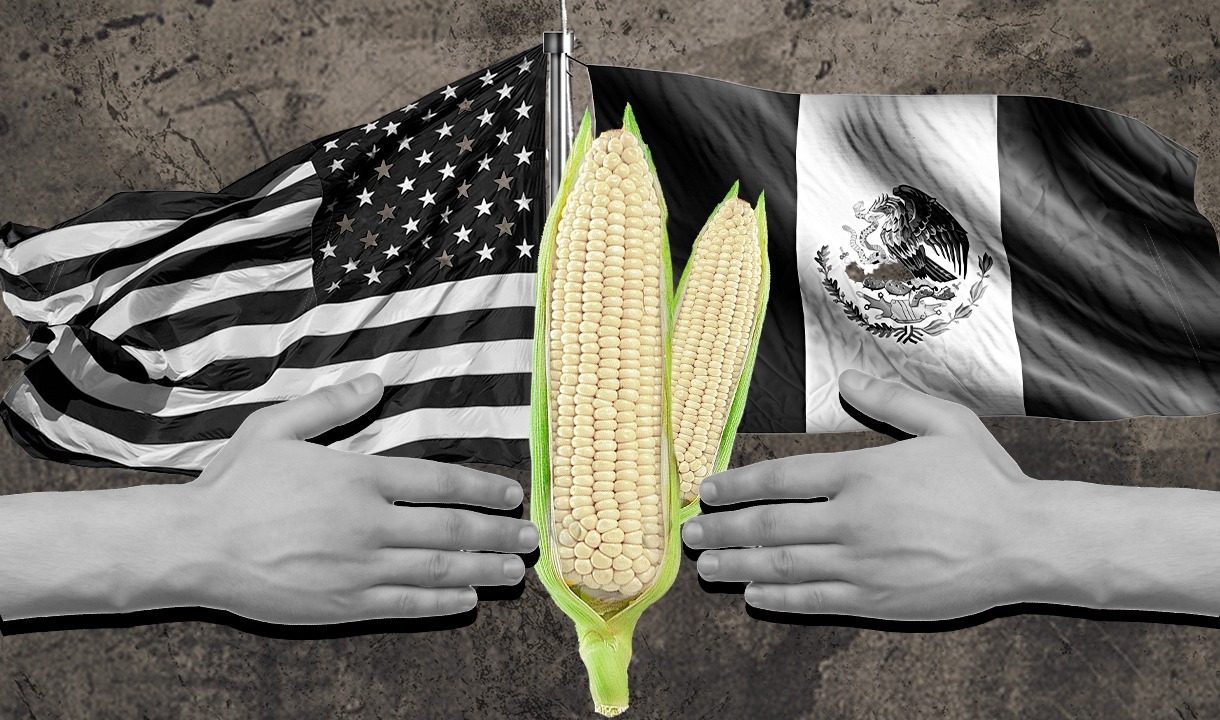 México defenderá posición ante EU en consultas sobre maíz biotecnológico