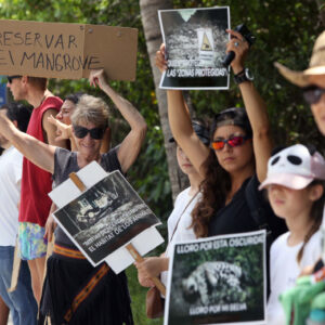 Ambientalistas se manifiestan contra el Tren Maya con cadena humana