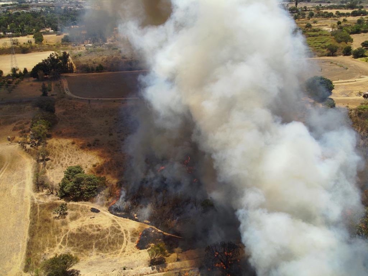 Incendio consume el Bosque de la Primavera en Zapopan, Jalisco