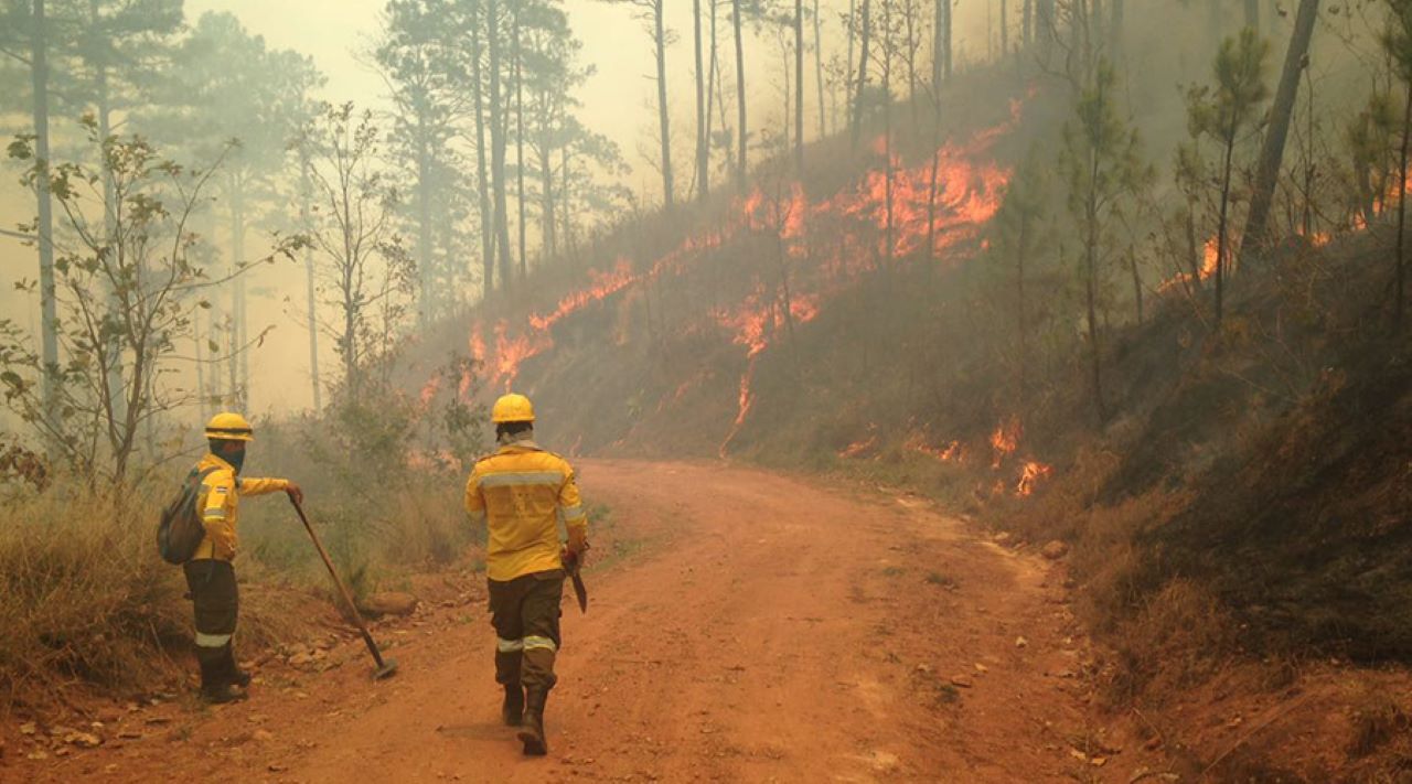 Incendios afectan más de 35 mil 600 hectáreas en Honduras; hay 13 activos