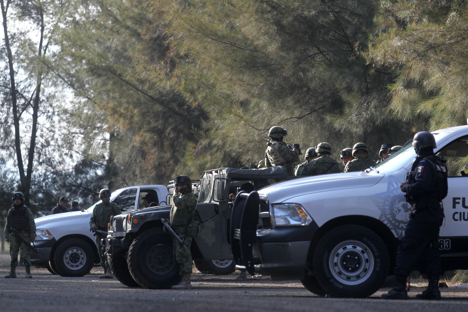 Michoacán: enfrentamiento entre Ejército y sicarios deja 8 muertos