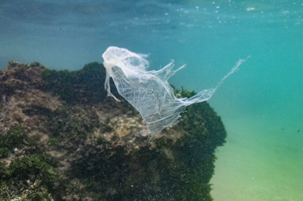 Países no se ponen de acuerdo para tratado contra la contaminación por plástico