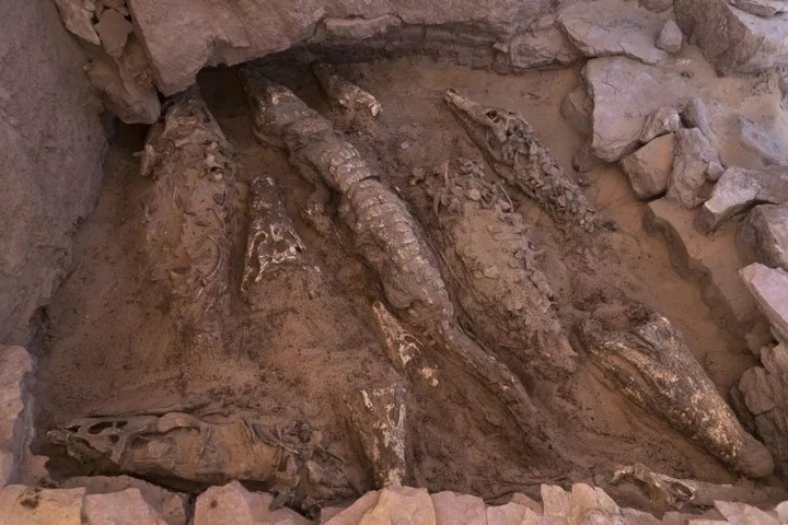 Descubren trampas para cazar de hace 9 mil años en Arabia Saudita y Jordania
