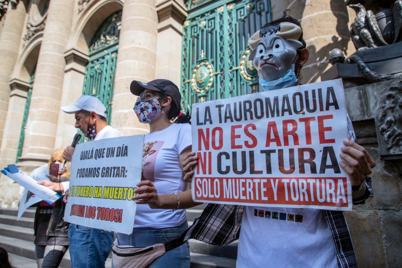 México cumple 10 años de la primera prohibición estatal de corridas de toros