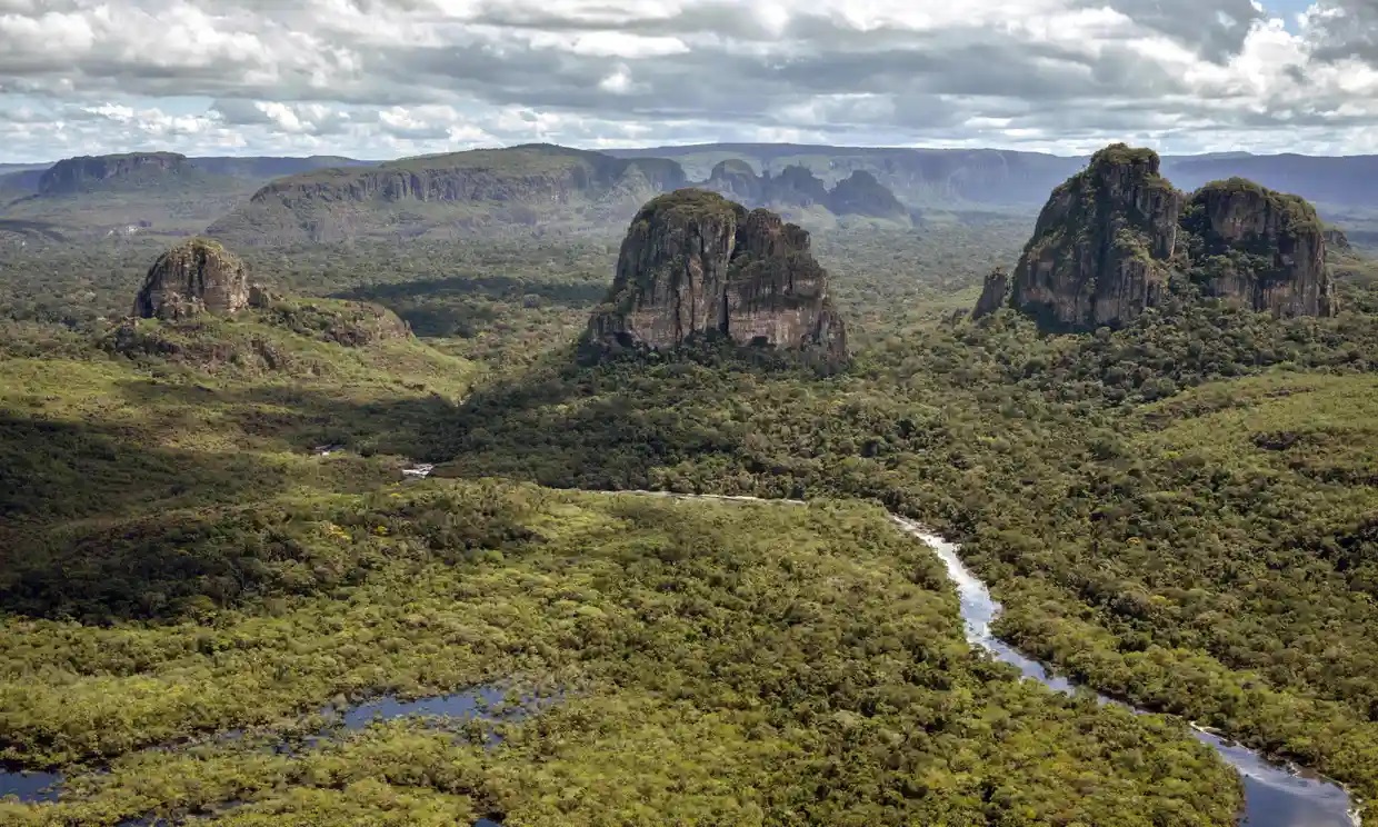 Confusión en Colombia sobre el hallazgo de 4 niños en la selva semanas después de un accidente aéreo