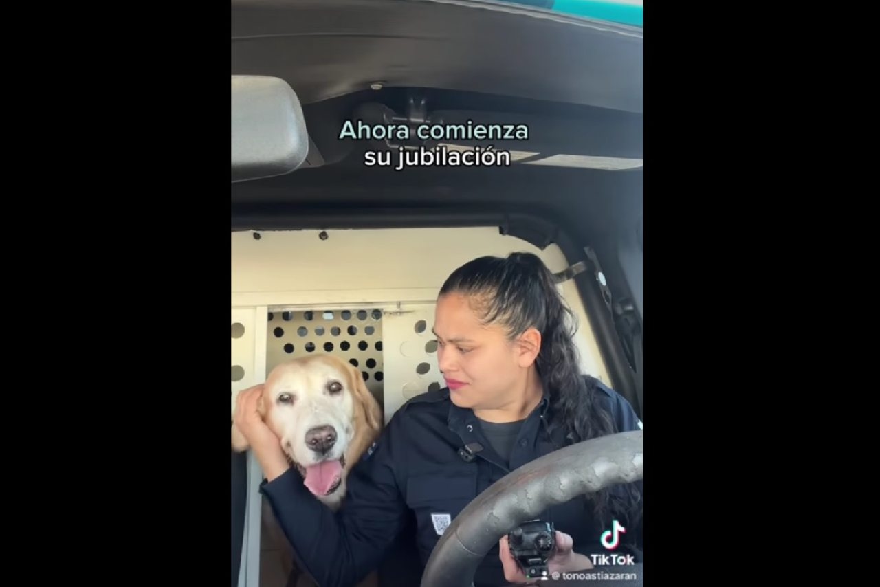 ‘Bubu’, perro policía en Hermosillo, es jubilado tras 9 años de servicio