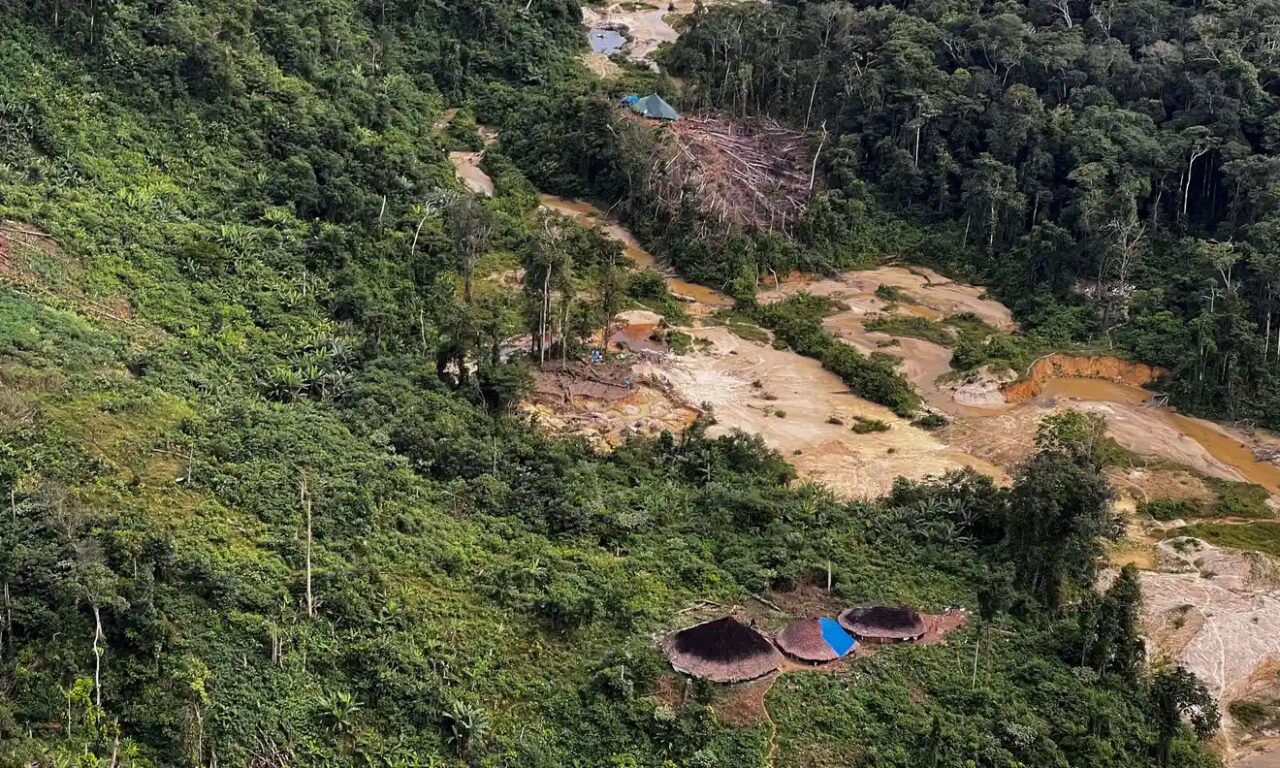 La Amazonia brasileña en peligro de ser controlada por la mafia