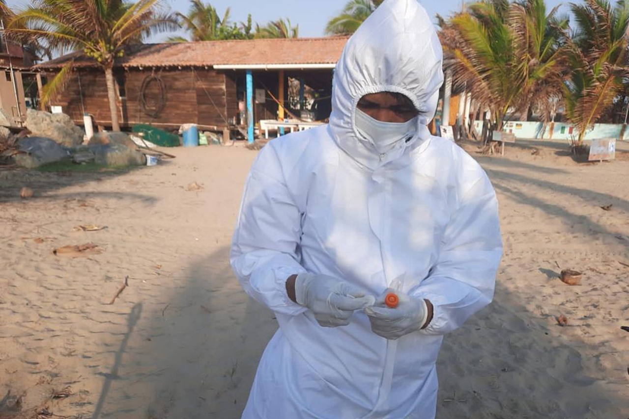México descarta que muerte de cientos de aves marinas sea por influenza AH5N1