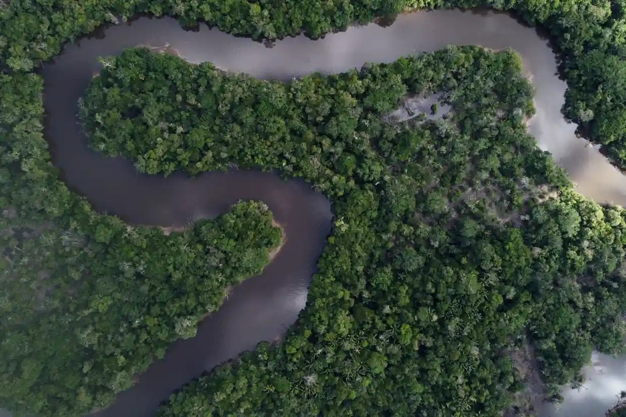 El Amazonas se enfrenta a una crisis delictiva ‘urgente’, dice la zar antidrogas de Brasil