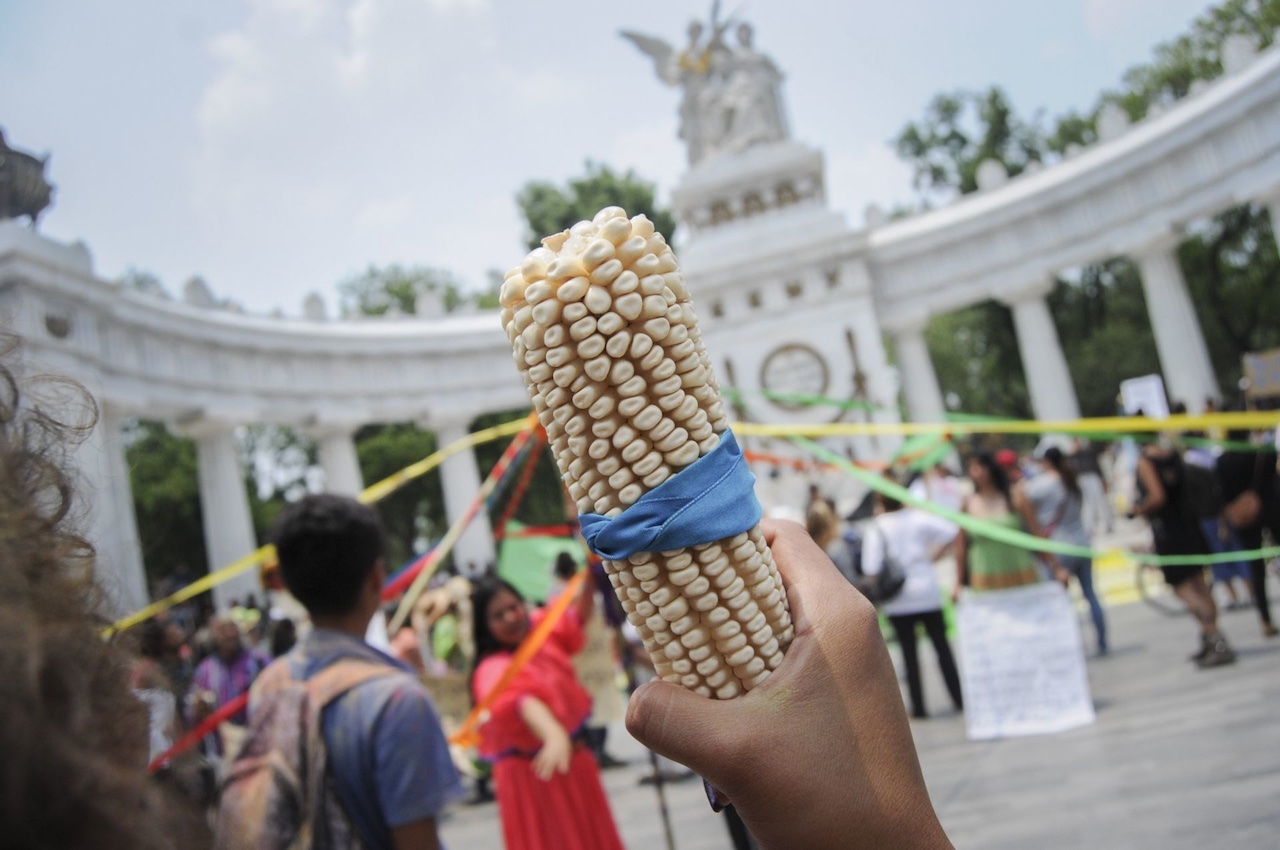 Canadá se suma a EU contra México por rechazo al maíz transgénico