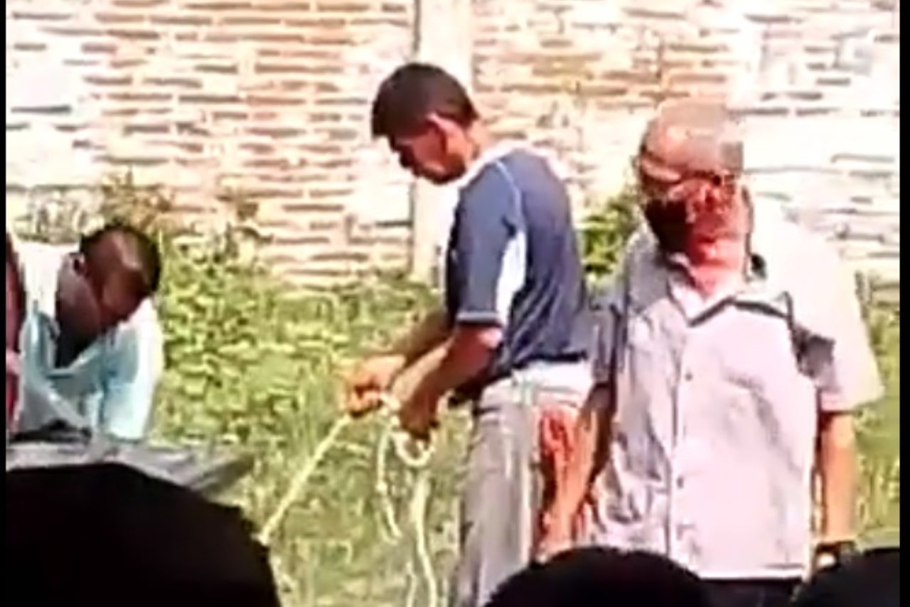 Un hombre arrastra a perrita y tira a sus cachorros a la basura en escuela de Oaxaca