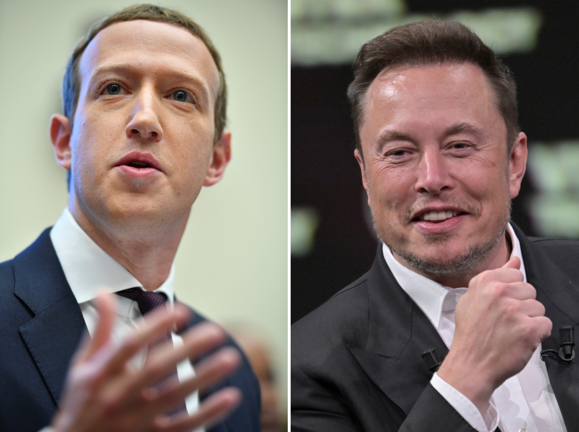 ¡Duelo de titanes! Elon Musk y Mark Zuckerberg se retan a pelea en jaula