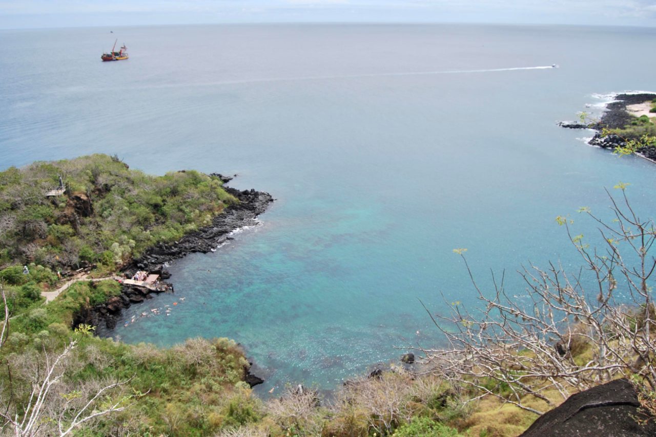 Expertos buscan ‘descarbonizar’ las Islas Galápagos, la segunda reserva marina más grande del planeta