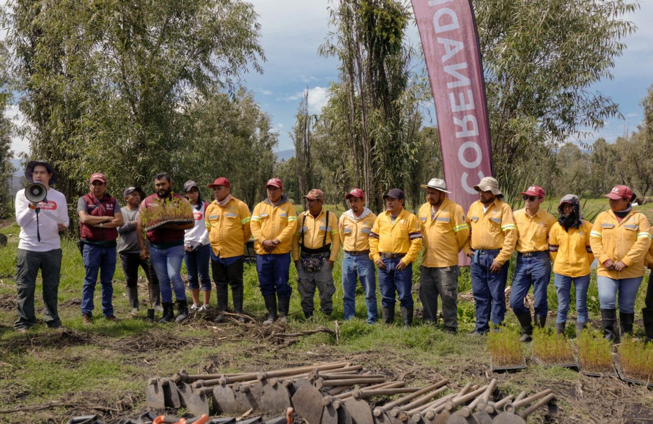 Organon realiza campaña de reforestación en Xochimilco
