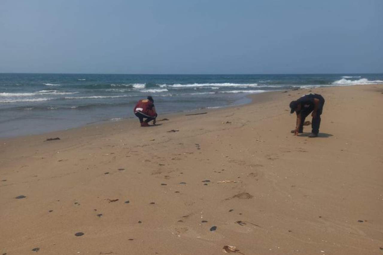 Limpian playa de Tabasco afectada por derrame de petróleo en Sonda de Campeche