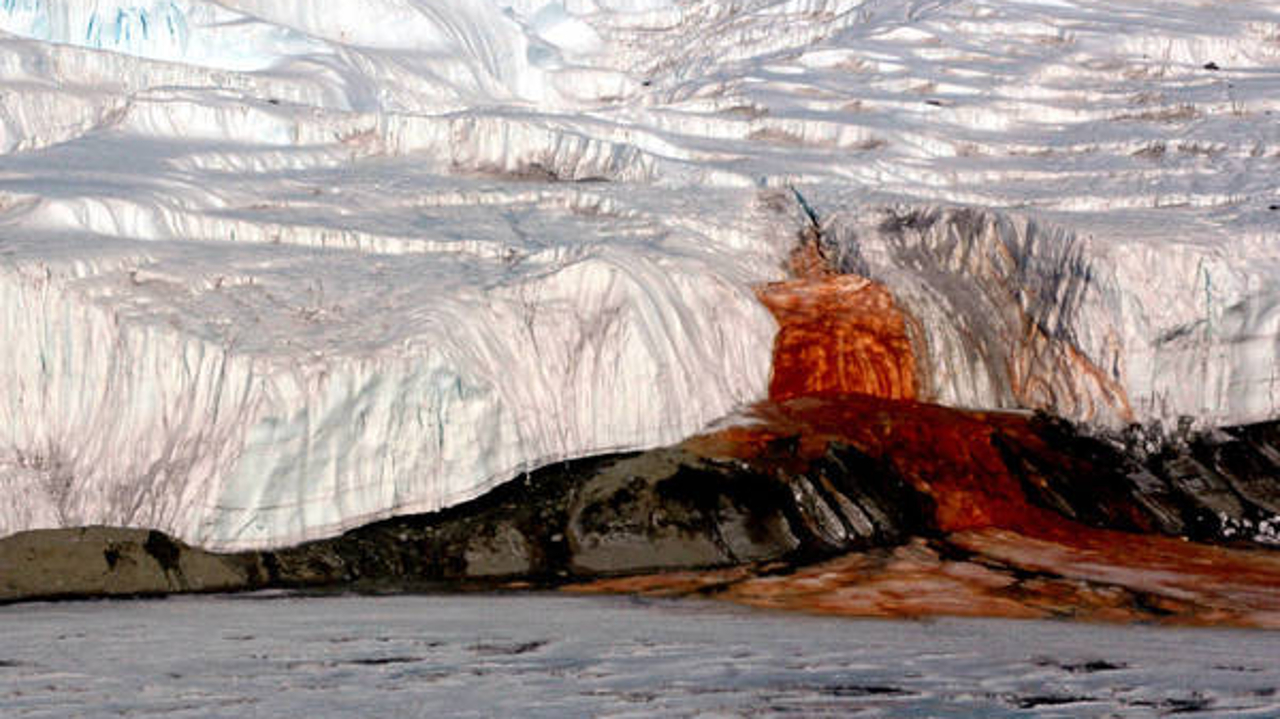 ¡Misterio resuelto! Esta es la razón de la formación de las ‘Cataratas de Sangre’ en la Antártida
