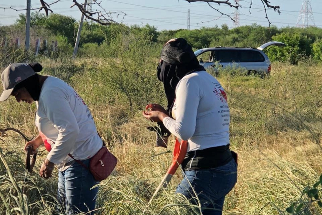 Colectivo halla 22 cuerpos en fosas clandestinas en Reynosa, Tamaulipas
