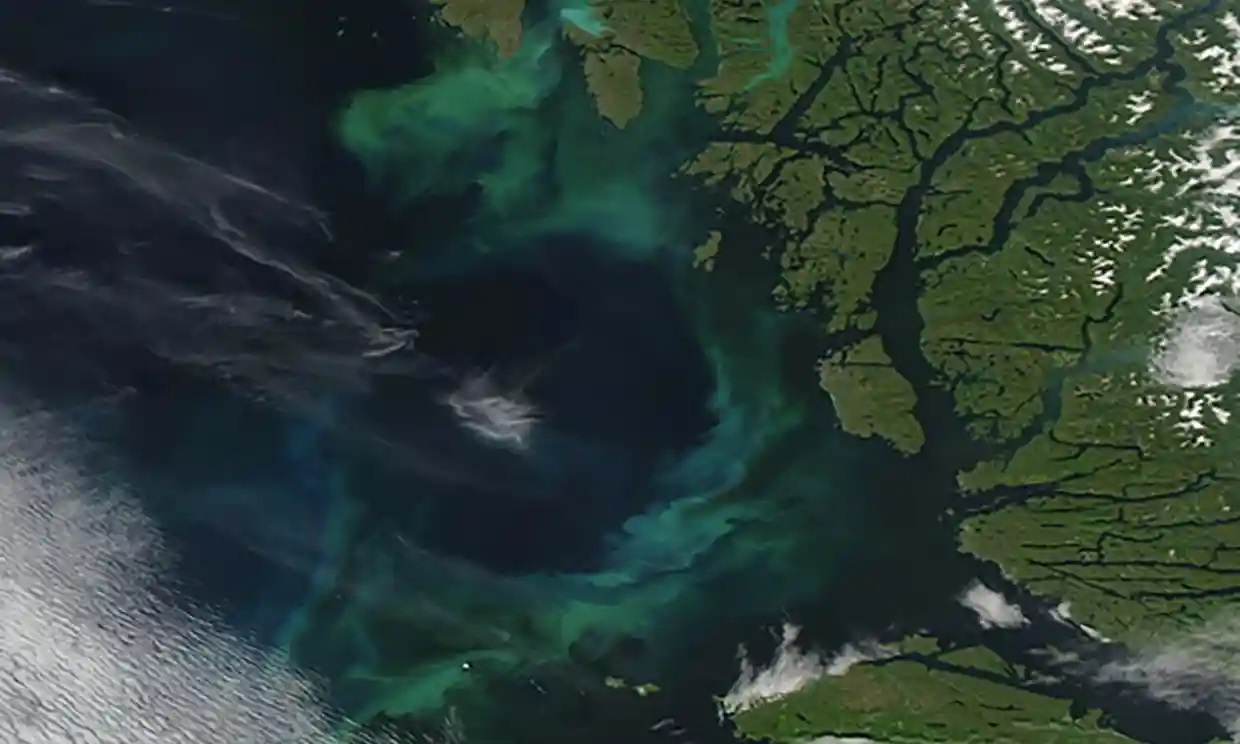 Los océanos del planeta cambian de color debido al cambio climático, sugiere un estudio