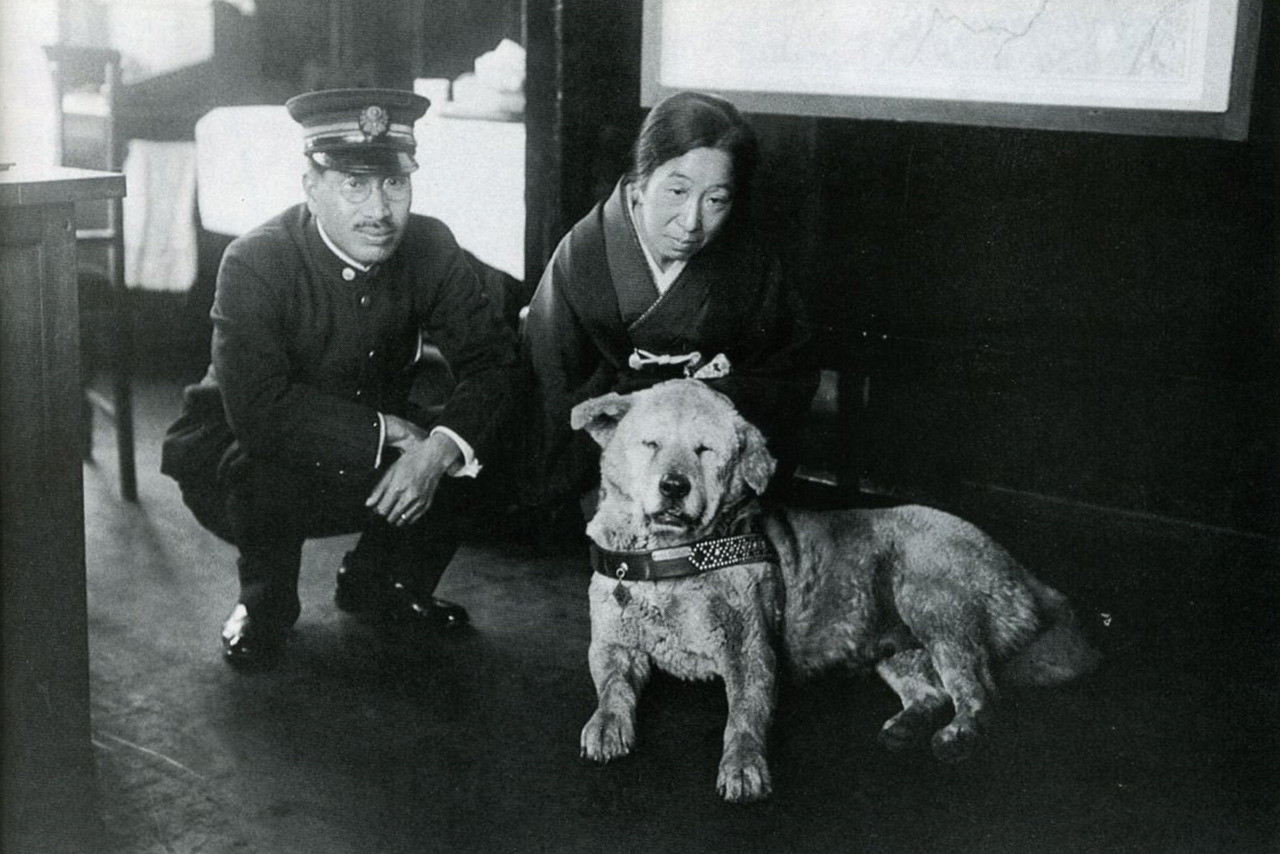 Hachiko cumpliría 100 años: La verdadera y emotiva historia detrás del perro ‘más fiel del mundo’