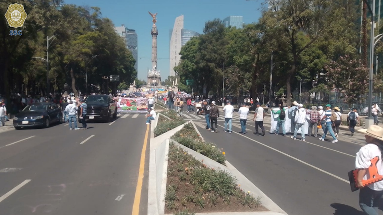 Simpatizantes de la tauromaquia y peleas de gallos marchan sobre Reforma