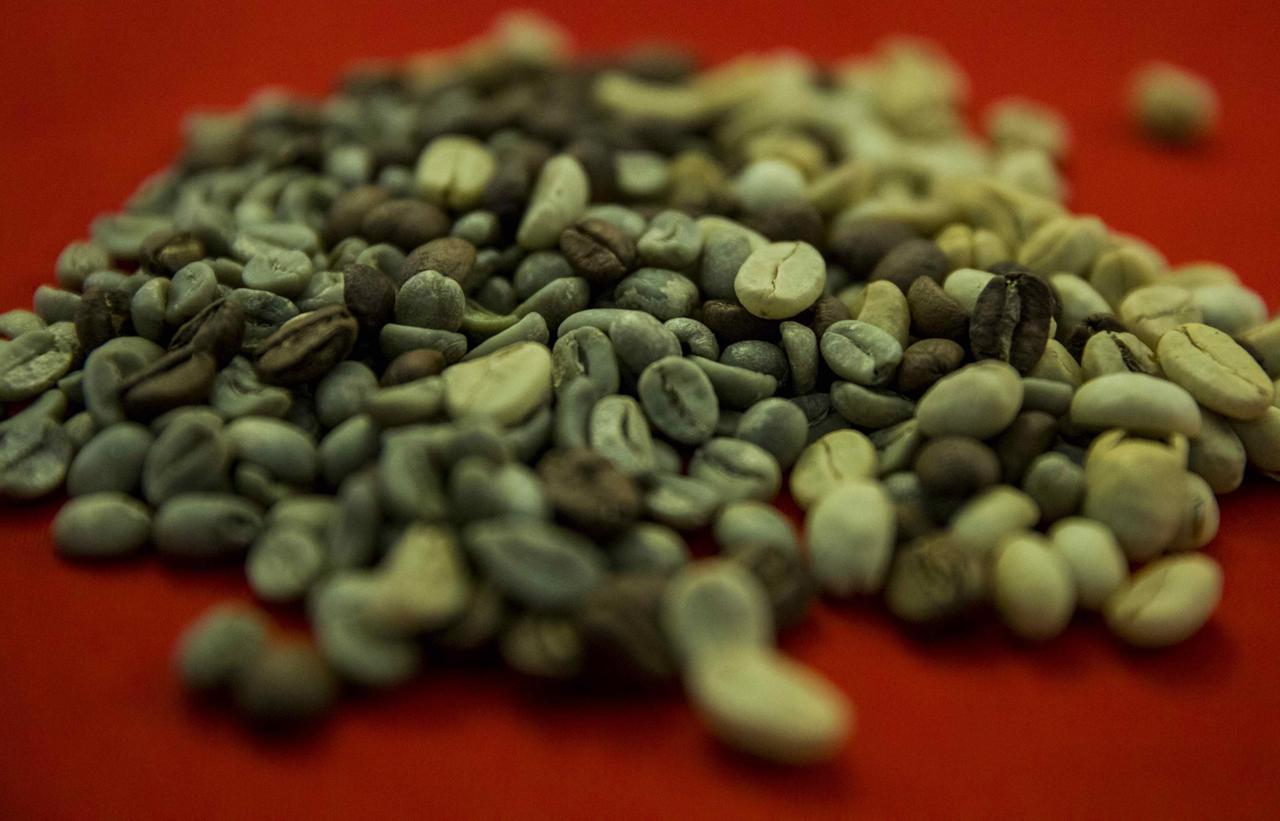 Nicaragua subasta su mejor café a un precio récord: 80.1 dólares la libra