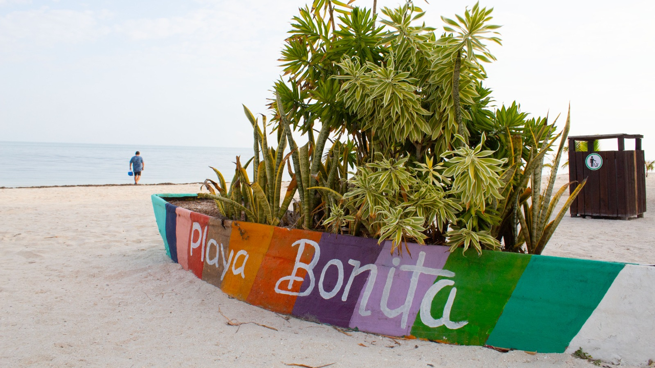 ¿De vacaciones? La-Lista de las playas mexicanas más sucias, según la Cofepris