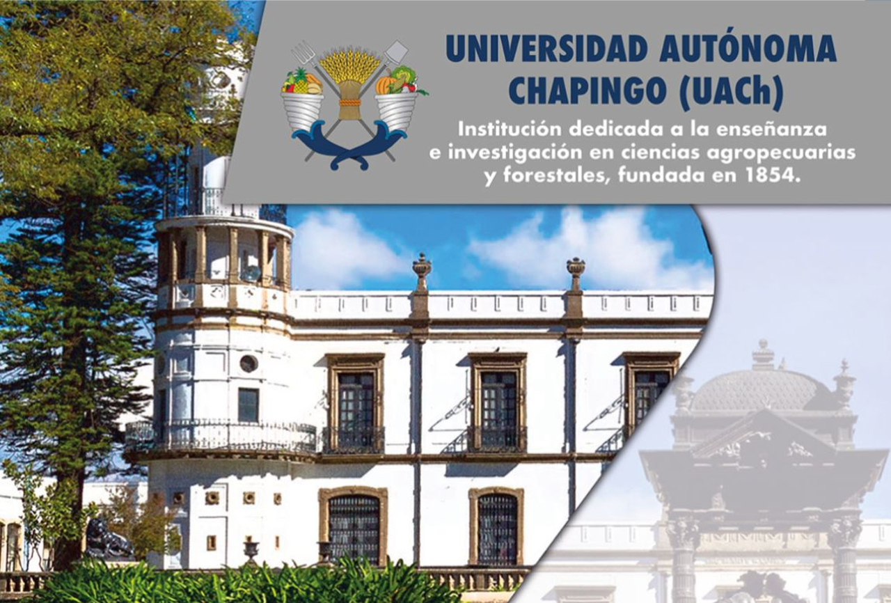 Universidad Autónoma de Chapingo: Resultados y cómo consultarlos