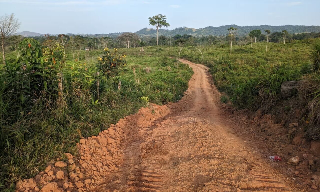 Narcocarretera creadora de caos en una selva hondureña