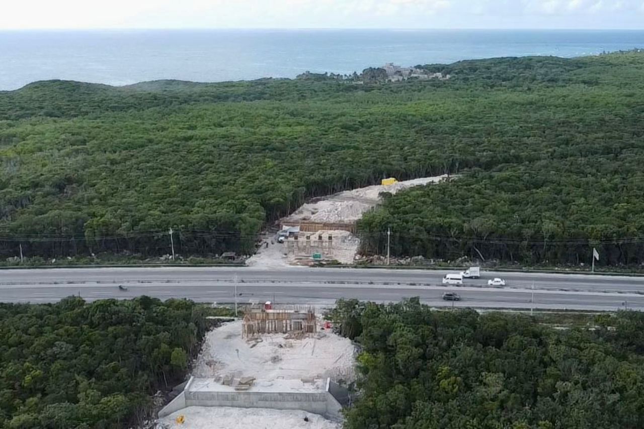 Gobierno federal expropia nuevos terrenos en Yucatán y Quintana Roo para el Tren Maya