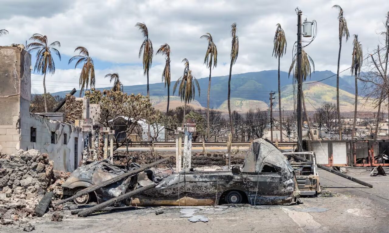 Equipos de Hawaii peinan ruinas de Lahaina en busca de víctimas desaparecidas en el incendio: hay mucho por hacer