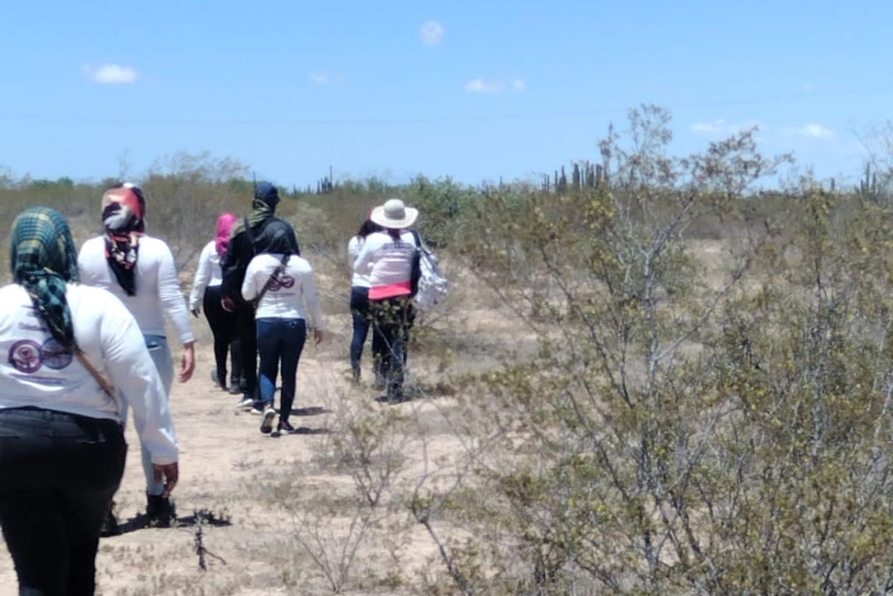 Madres Buscadoras de Sonora hallan dos cuerpos en Hermosillo