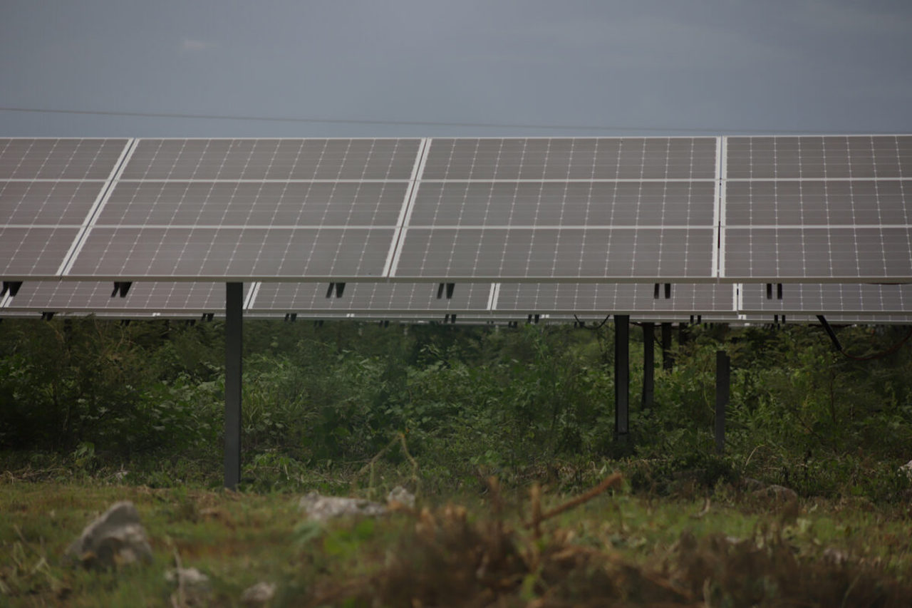 A la espera de justicia: la lucha de pueblos mayas contra fotovoltaicas en Yucatán