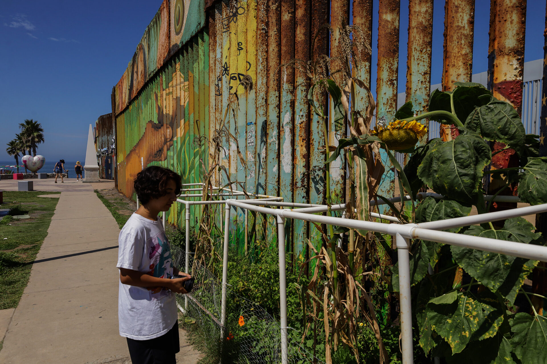 Vegetación de la frontera México-EU, en riesgo por la renovación del muro