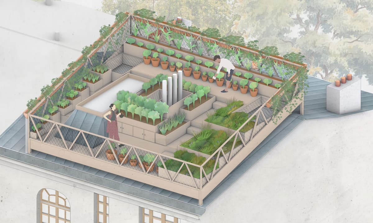 De gris a verde: plan para convertir los tejados de zinc de París en jardines
