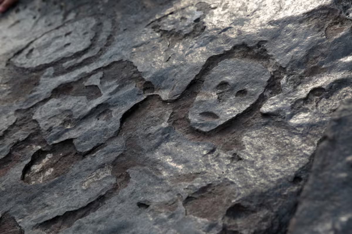 El retroceso de las aguas amazónicas revela antiguos grabados rupestres