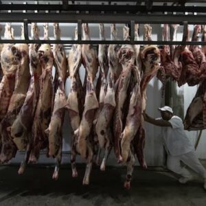 Develados los planes para presentar la carne como ‘nutrición sostenible’ en la COP28