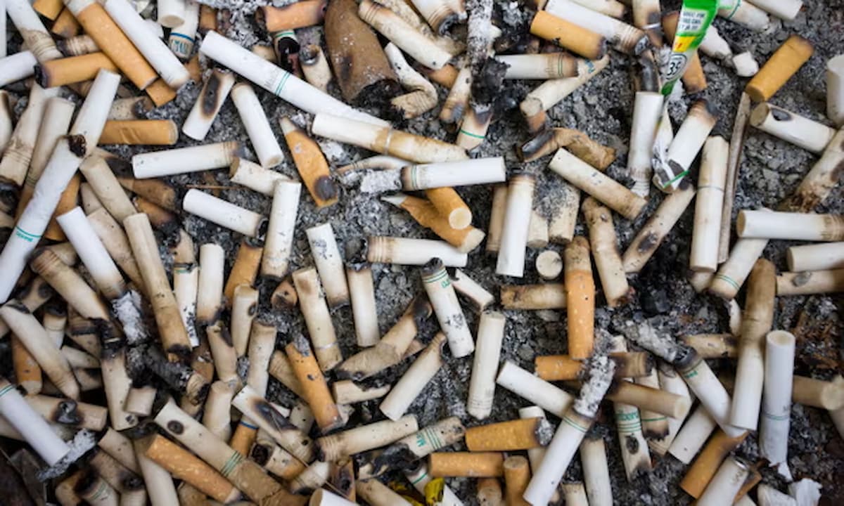 Nueva Zelanda suprime la prohibición generacional de fumar, primera en el mundo, para financiar recortes fiscales