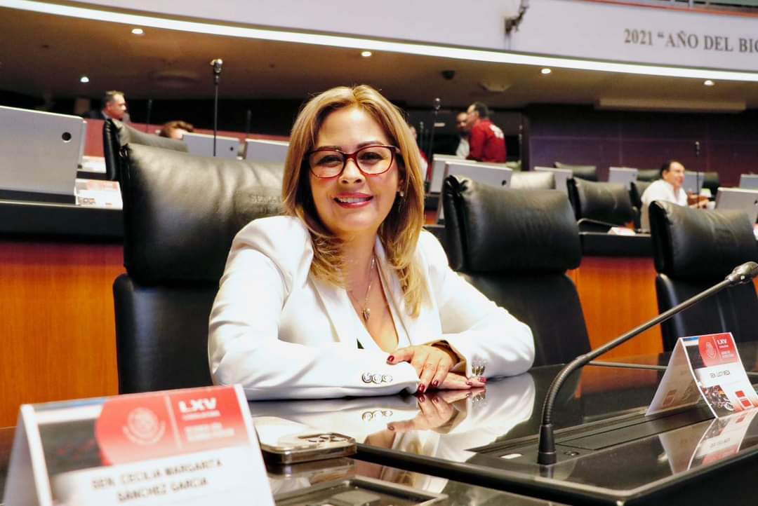 ¿PAN y MC pueden vencer a Morena en las elecciones estatales 2024? - LUCY_MEZA