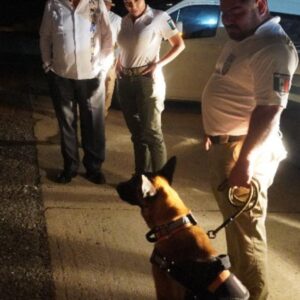 Rescatan a siete elementos del INM que fueron secuestrados en Cancún