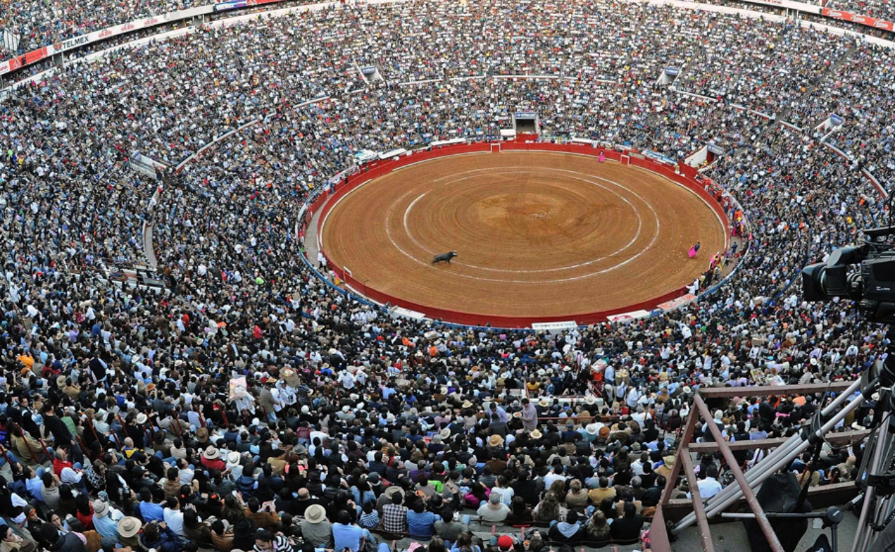 Jueza federal suspende provisionalmente las corridas de toros en la Plaza México