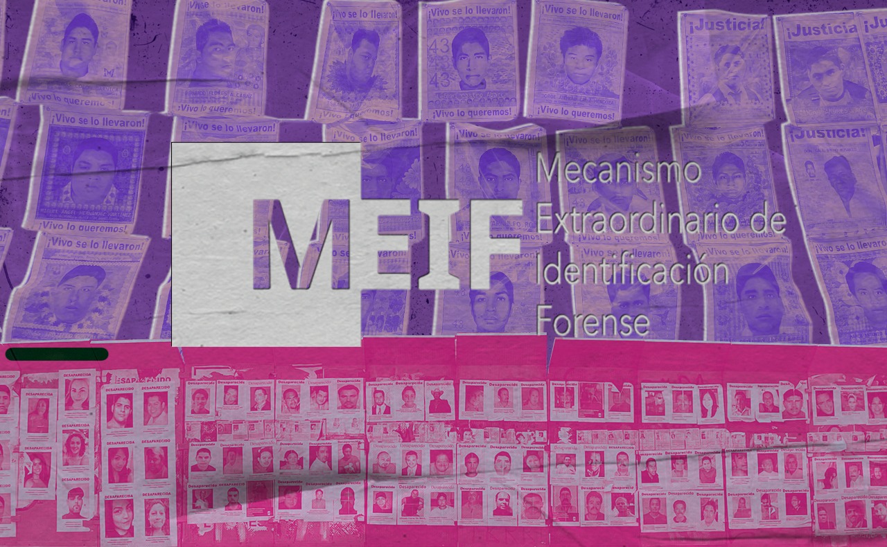 Jairo Vivas: México no puede parar ni seguir con simulaciones ante la crisis forense