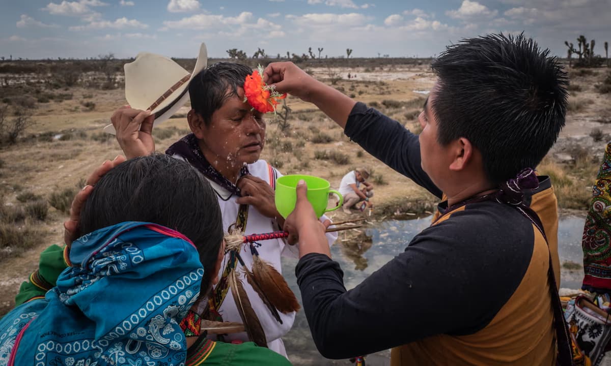 Asesinato, sequía y peyote: la lucha mortal por el agua de México