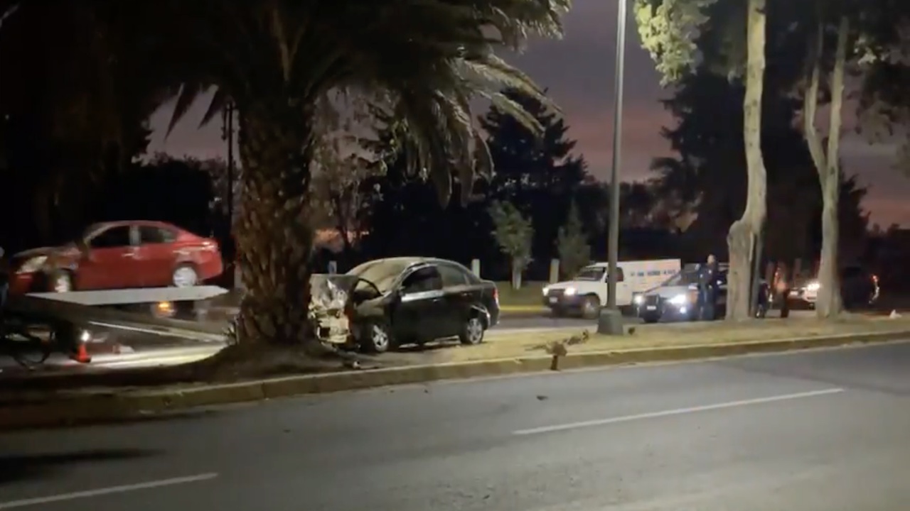 Accidente en Toluca hoy: auto se estrella contra palmera en Isidro Fabela