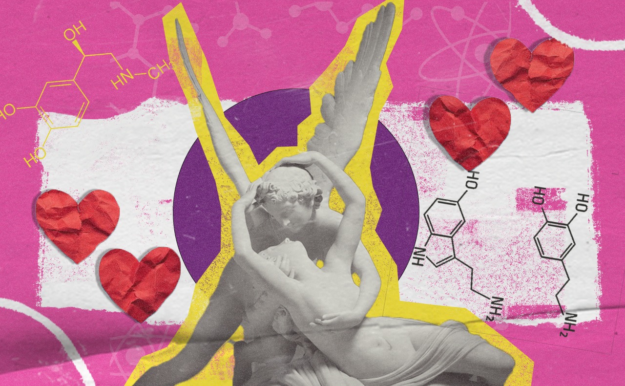 Mitos y verdades sobre el amor, según la ciencia