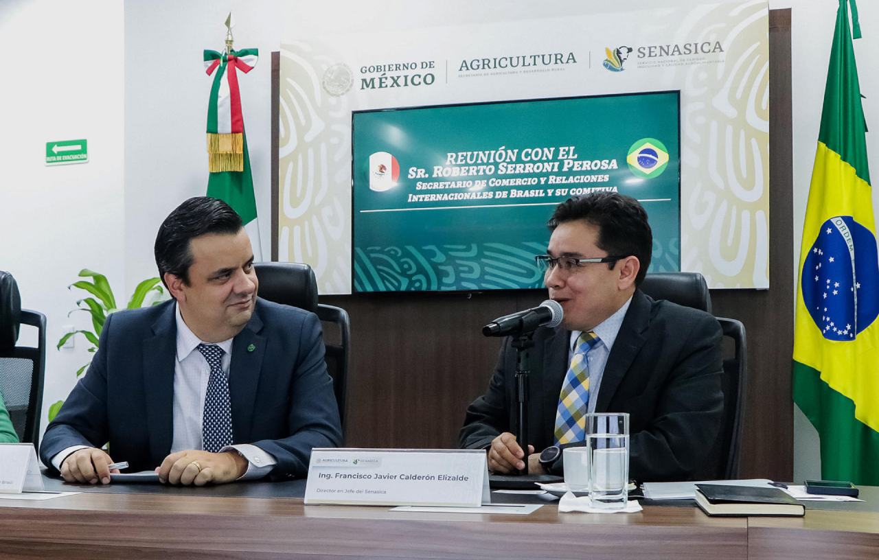 México y Brasil buscan protocolos contra gripe aviar para evitar interrupción del comercio