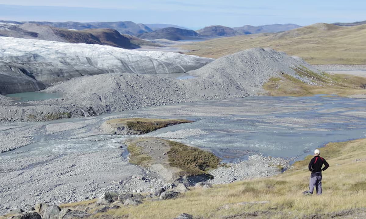 Expertos en clima alertan por boyante vegetación en la capa de hielo de Groenlandia