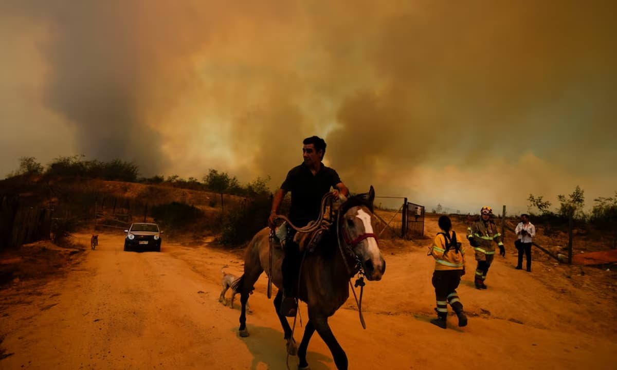 Vivimos era de megaincendios: nuevas tácticas ante aumento de incendios en Sudamérica