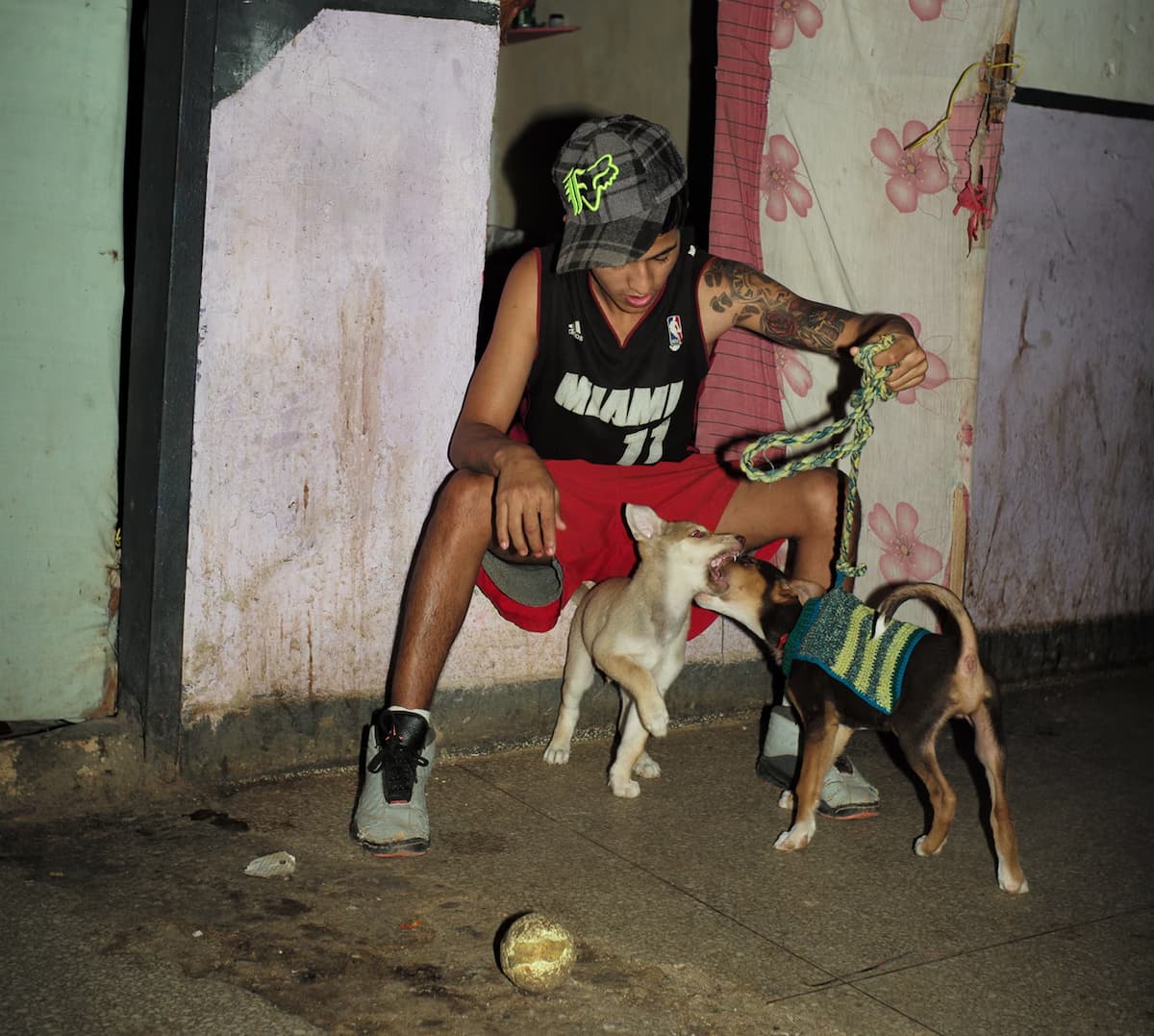 Mi Perro: presos y sus perros en Latinoamérica, un ensayo fotográfico